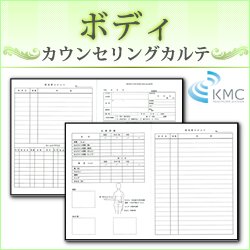 画像1: ボディカウンセリングカルテ