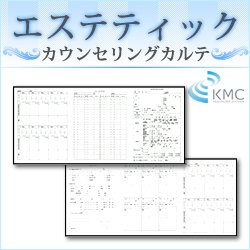 画像1: エステティックカウンセリングカルテ