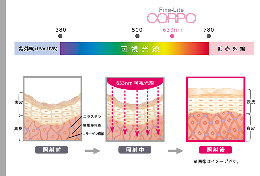 CORPO　照射後イメージ