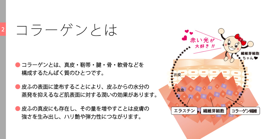 コラーゲンとは？